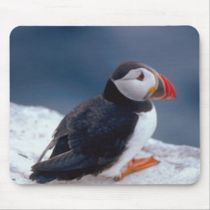 Puffin Mouse Pad