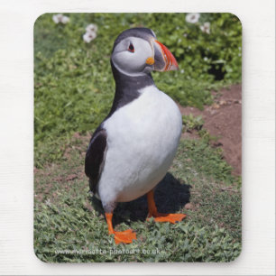 Puffin Mousemat Mouse Pad