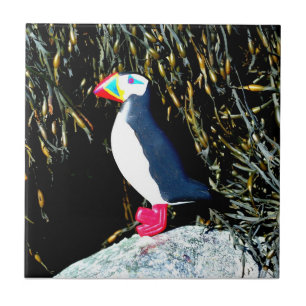 puffin on rock tile