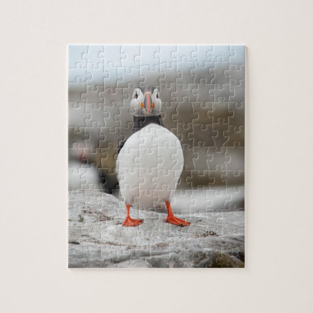 Puffin Photo 8" x 10" Photo Puzzle with Gift Box (Vertical)