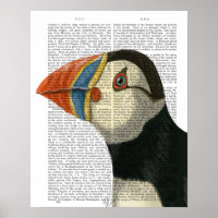 Puffin Portrait