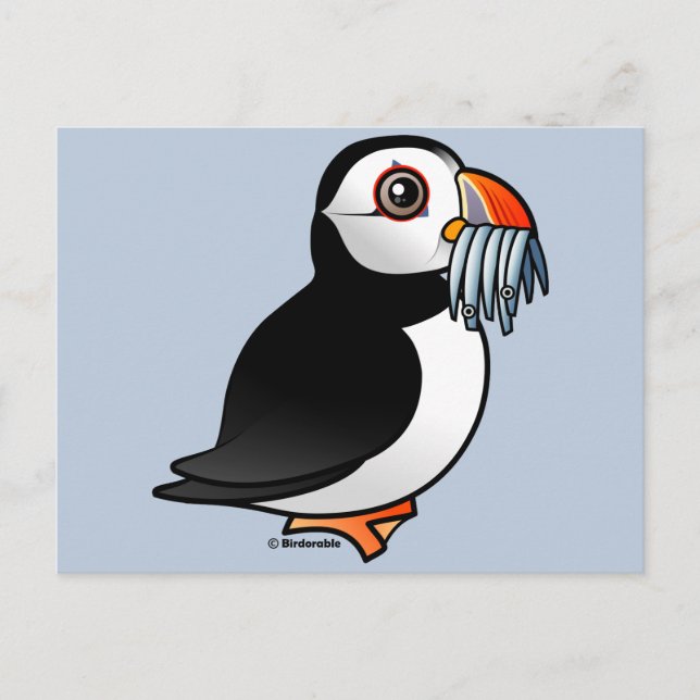 Puffin Prowess Postcard (Front)