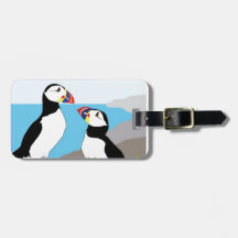 Puffin Sea Birds