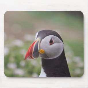 Puffin Side View Mouse Pad