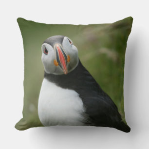 Puffin throw pilows pillow