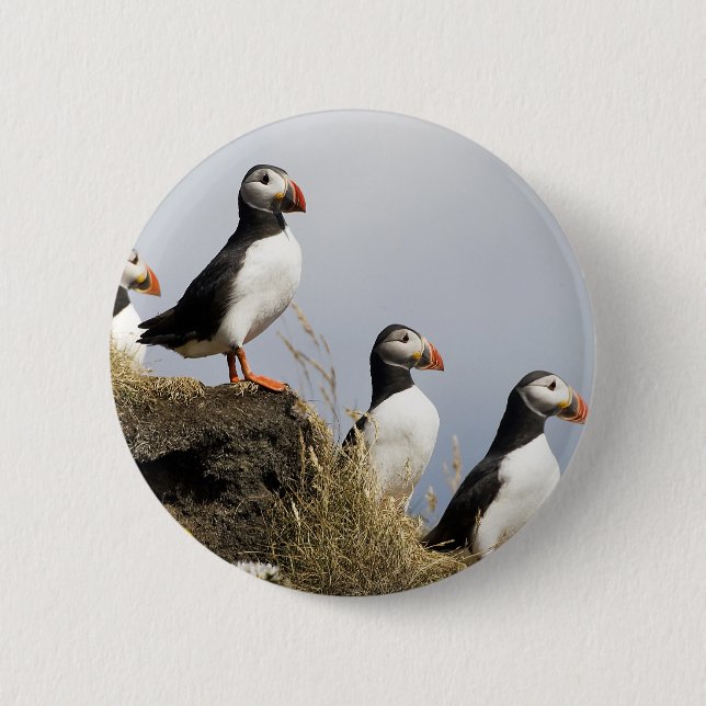 Puffins 2 Inch Round Button (Front)