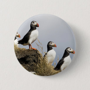 Puffins 2 Inch Round Button