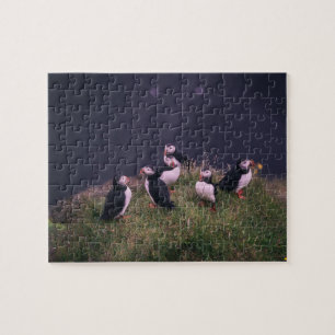 Puffins Atlantique Puzzle Puzzle Puzzle