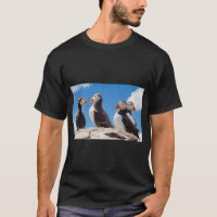 Puffins Birds Perched Nature 