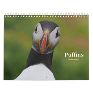 Puffins Calendar