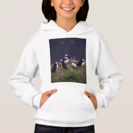 Puffins de l'Atlantique