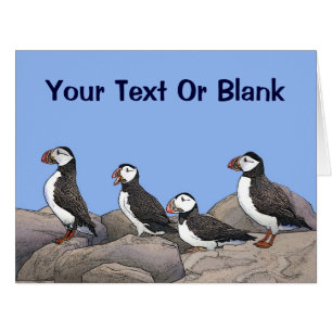 Puffins de l'Atlantique