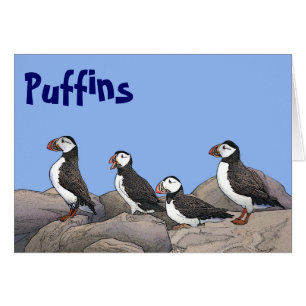 Puffins de l'Atlantique