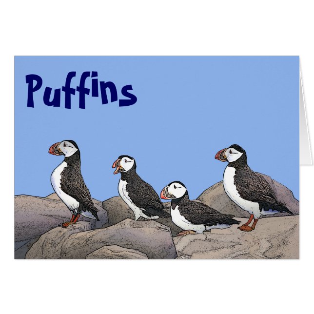 Puffins de l'Atlantique (Devant horizontal)