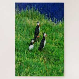  Puffins   Jigsaw Puzzle