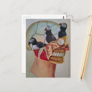 Puffins on the Brain Surreal mixed media collage Postcard