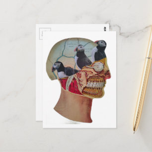 Puffins on the Brain Surreal mixed media collage Postcard
