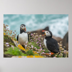 PUFFINS - SALTEE ISLANDS, IRELAND POSTER