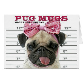 Pug