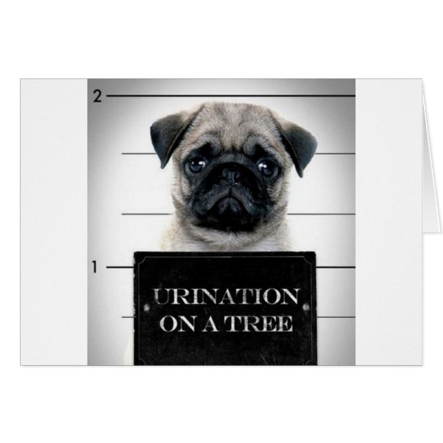 Pug (Front Horizontal)