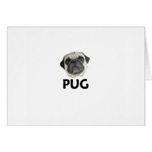Pug