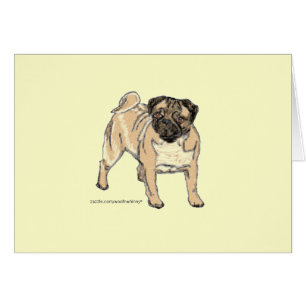 Pug