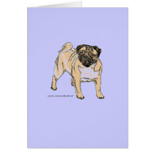 Pug