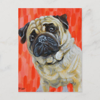 Pug 0range postcard
