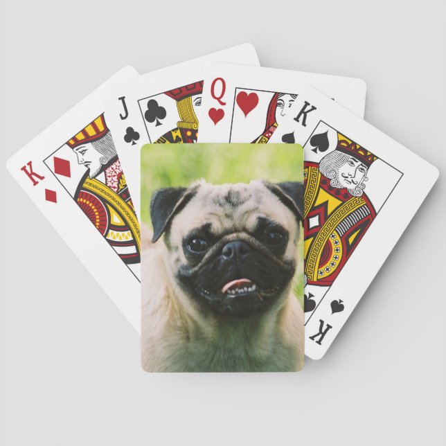 pug-13 playing cards (Back)
