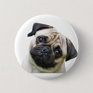 pug 2 inch round button