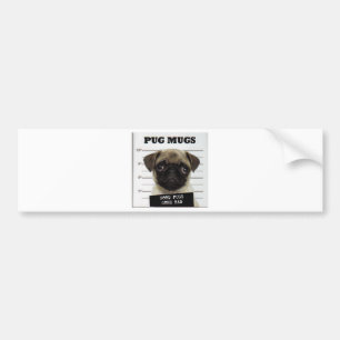 pug_5 bumper sticker