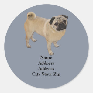 Pug Address Label