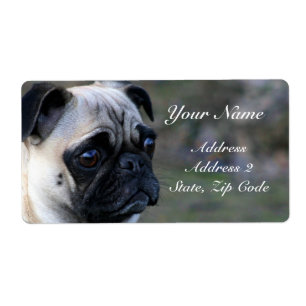 Pug Address Labels