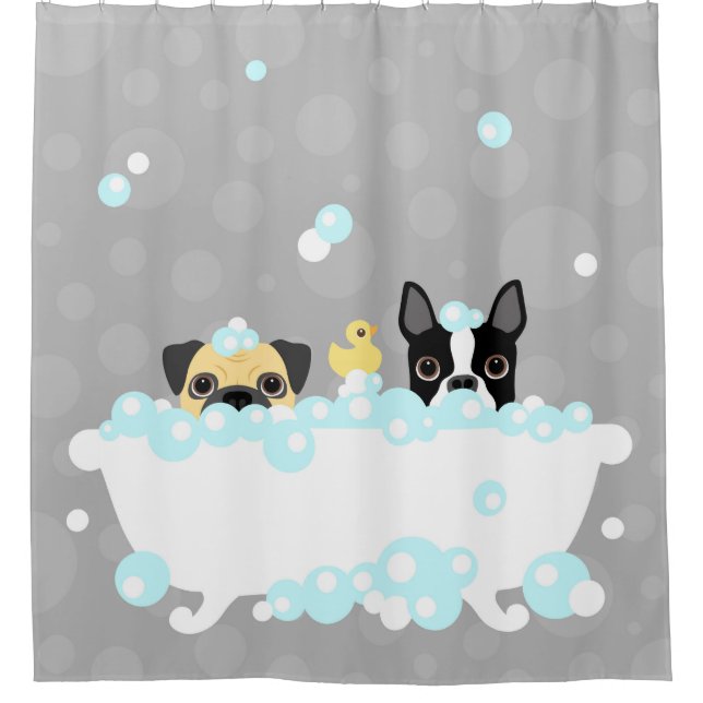 Pug and Boston Terrier in Bathtub Shower Curtain (Front)
