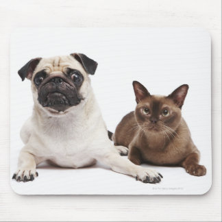 Pug and Burmese cat Mouse Pad