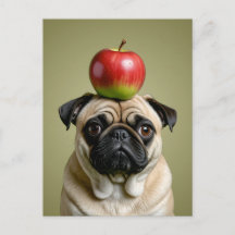 Pug Apple