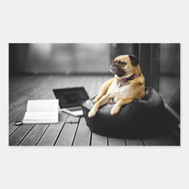 Pug at Rest Sticker (Front)