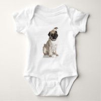 Pug