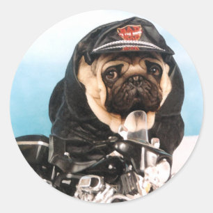 Pug Biker Stickers