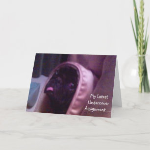Pug Birthday Card
