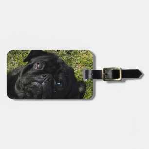 pug black luggage tag