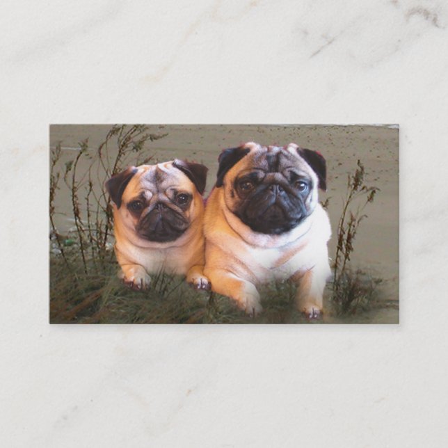 Pug Breeder Business Card (Front)