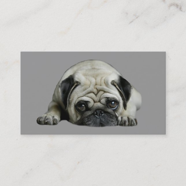 Pug Breeder Business Card (Front)