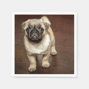Pug Brown Dog Photo Napkin