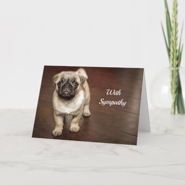 Pug Brown Dog Photo Sympathy Card (Front)