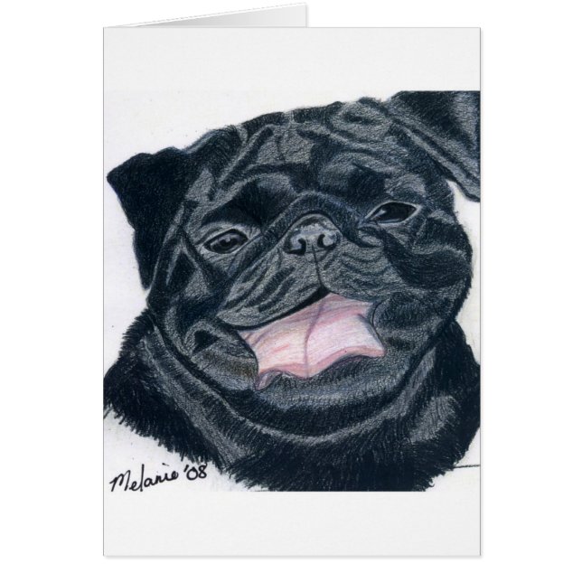 Pug & Bulldog mix - Jaba (Front)