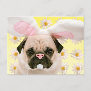 Pug Bunny Ears Postcard
