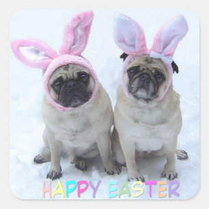 Pug bunny's square sticker