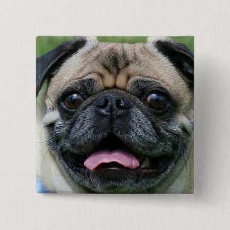 Pug Button