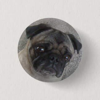 pug buttons